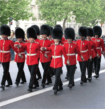 要知道,英国可从来不是一个对熊友好的国家,卫兵们头上戴的熊皮帽